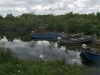 Dringeen Bay - Boats